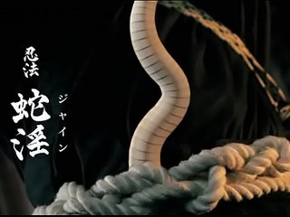 The Best of Ninja Women: A Sexy and Sensual Tale